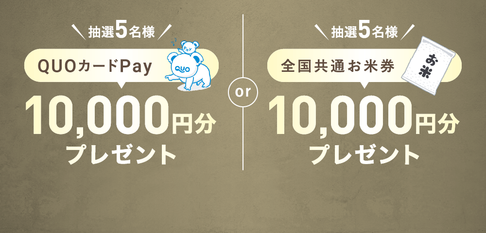 prius様専用 】パーク24 株主優待 タイムズチケット （200円×24枚の+